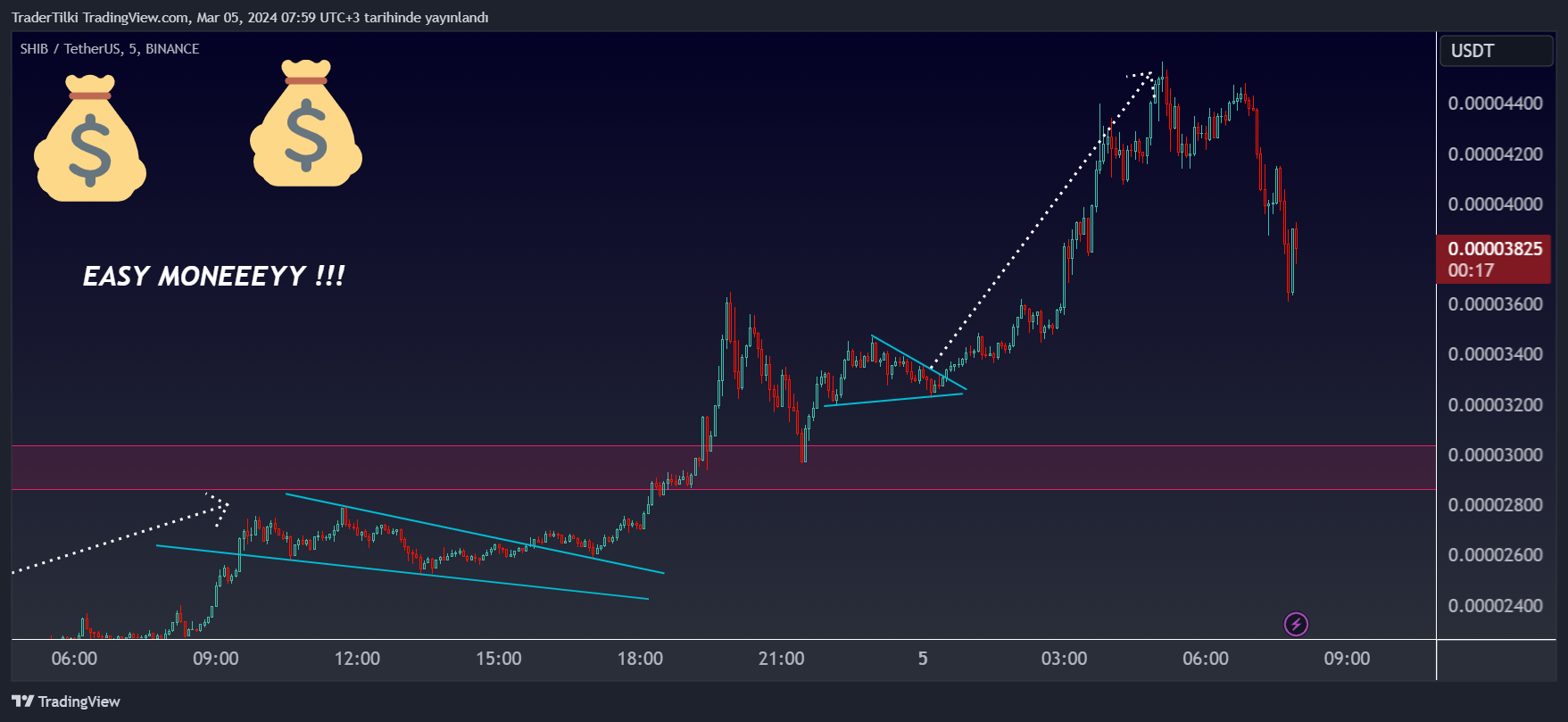 BINANCE:SHIBUSDT Image du graphique par TraderTilki