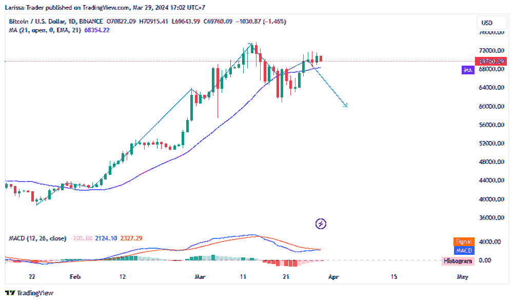 BINANCE:BTCUSD Chart Image by Larissa-Trader
