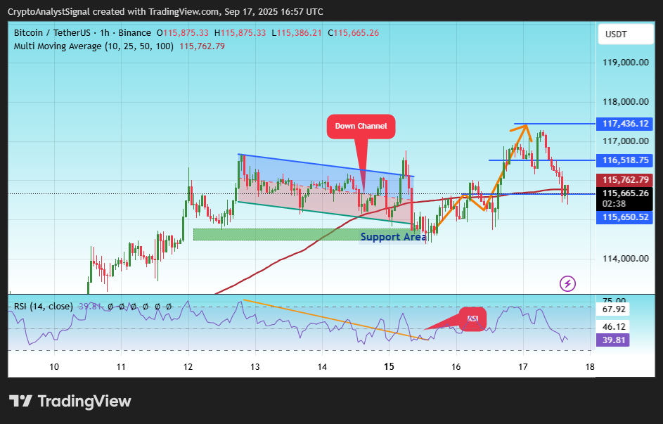 BINANCE:BTCUSDT Chart Image by CryptoAnalystSignal