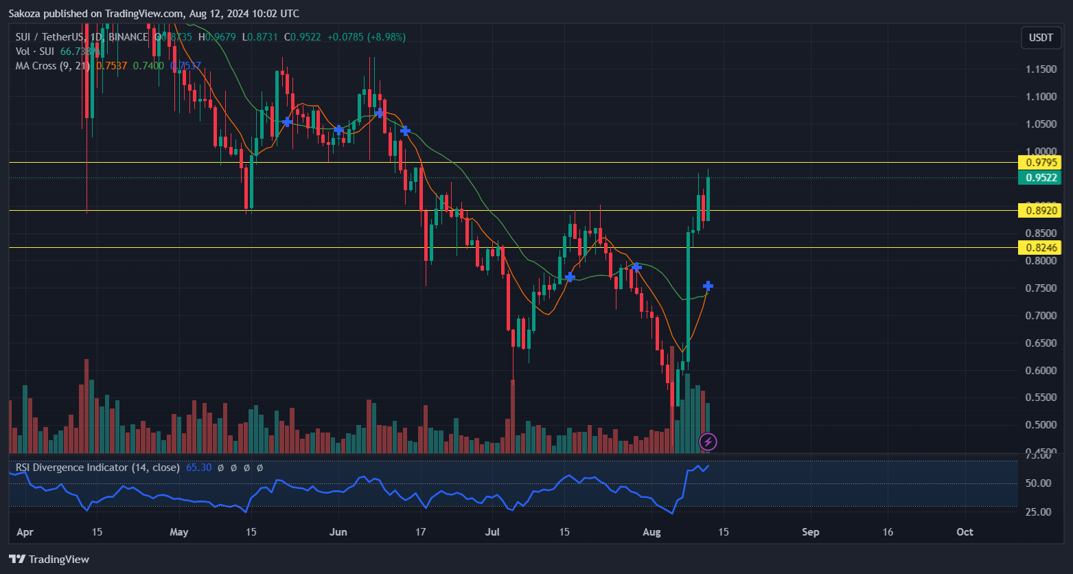 BINANCE:SUIUSDT Chart Image by Sakoza