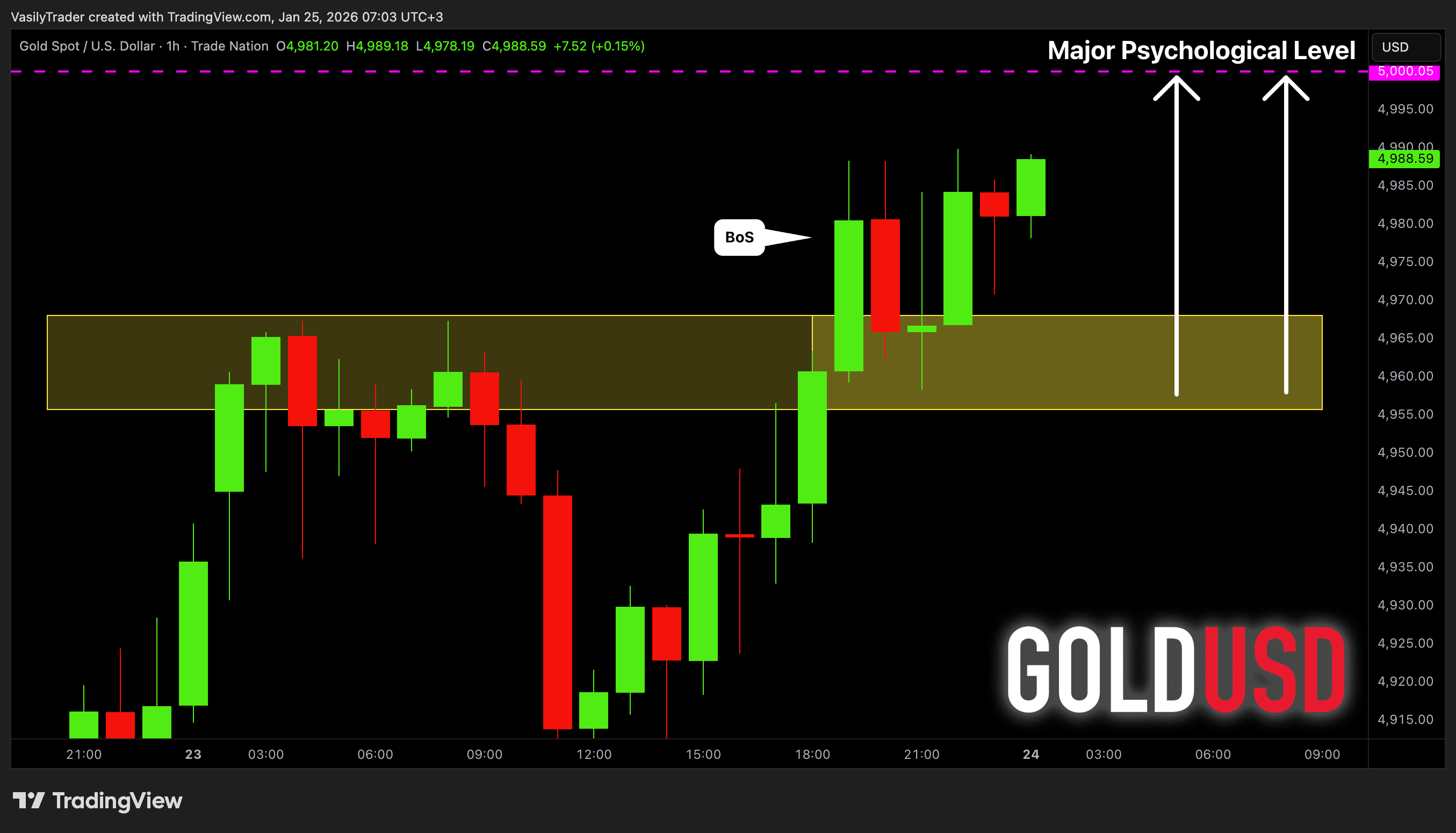 TRADENATION:XAUUSD Chart Image by VasilyTrader