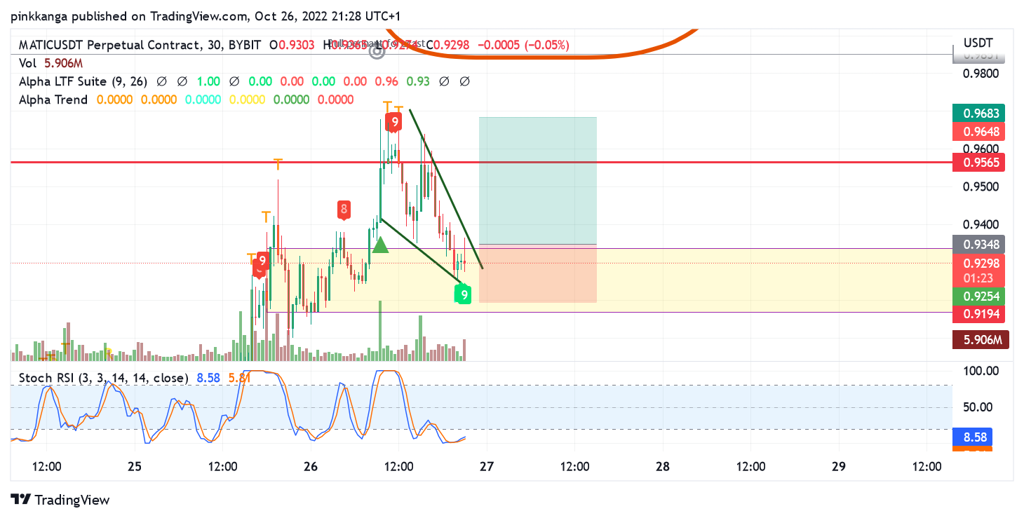 BYBIT:MATICUSDT.P Chart Image by pinkkanga