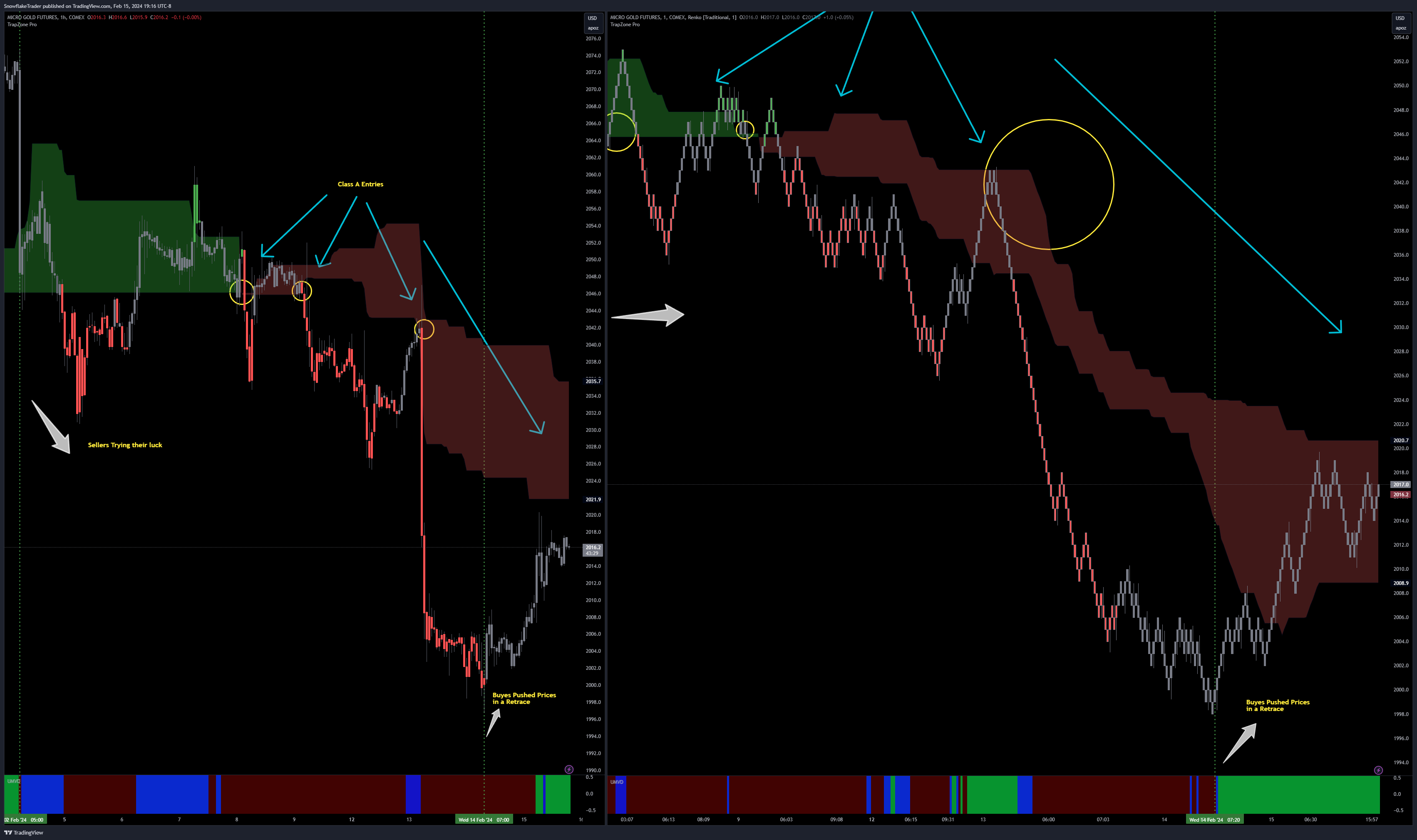 COMEX_MINI:MGC1! Imagen del gráfico de SnowflakeTrader