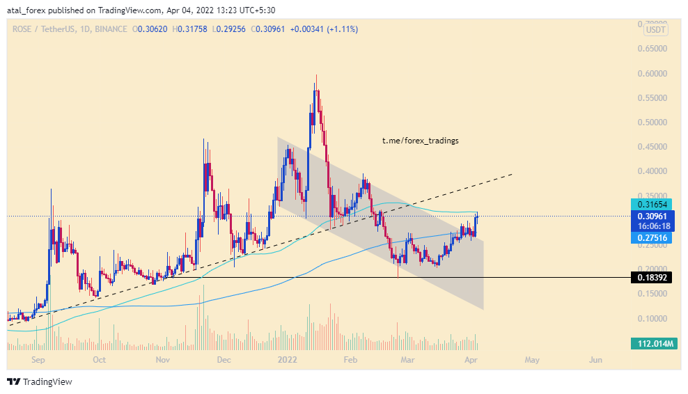 BINANCE:ROSEUSDT Chart Image by atal_Cryptosignals