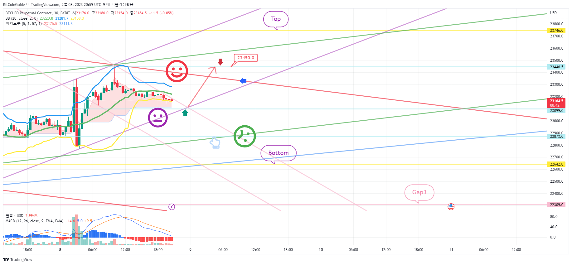 BYBIT:BTCUSD.Pチャート画像 - BitCoinGuideの投稿