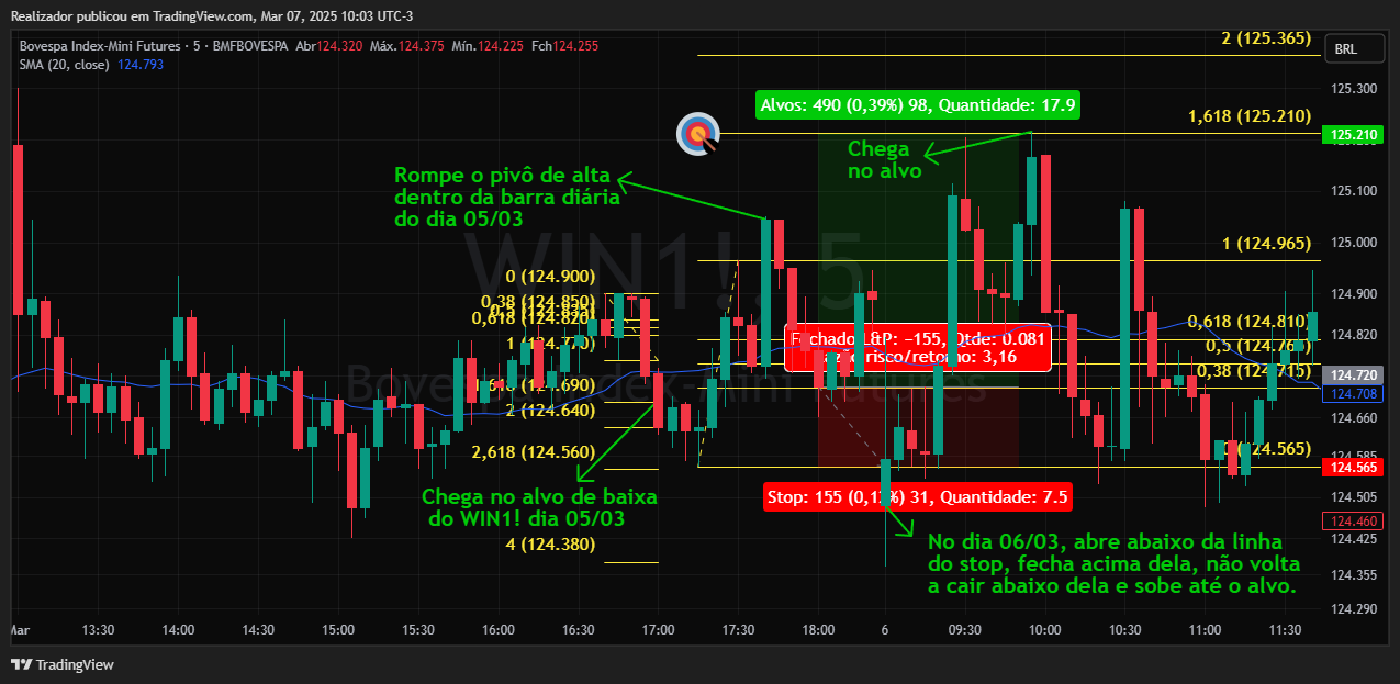 BMFBOVESPA_DLY:WIN1! Chart Image by Realizador