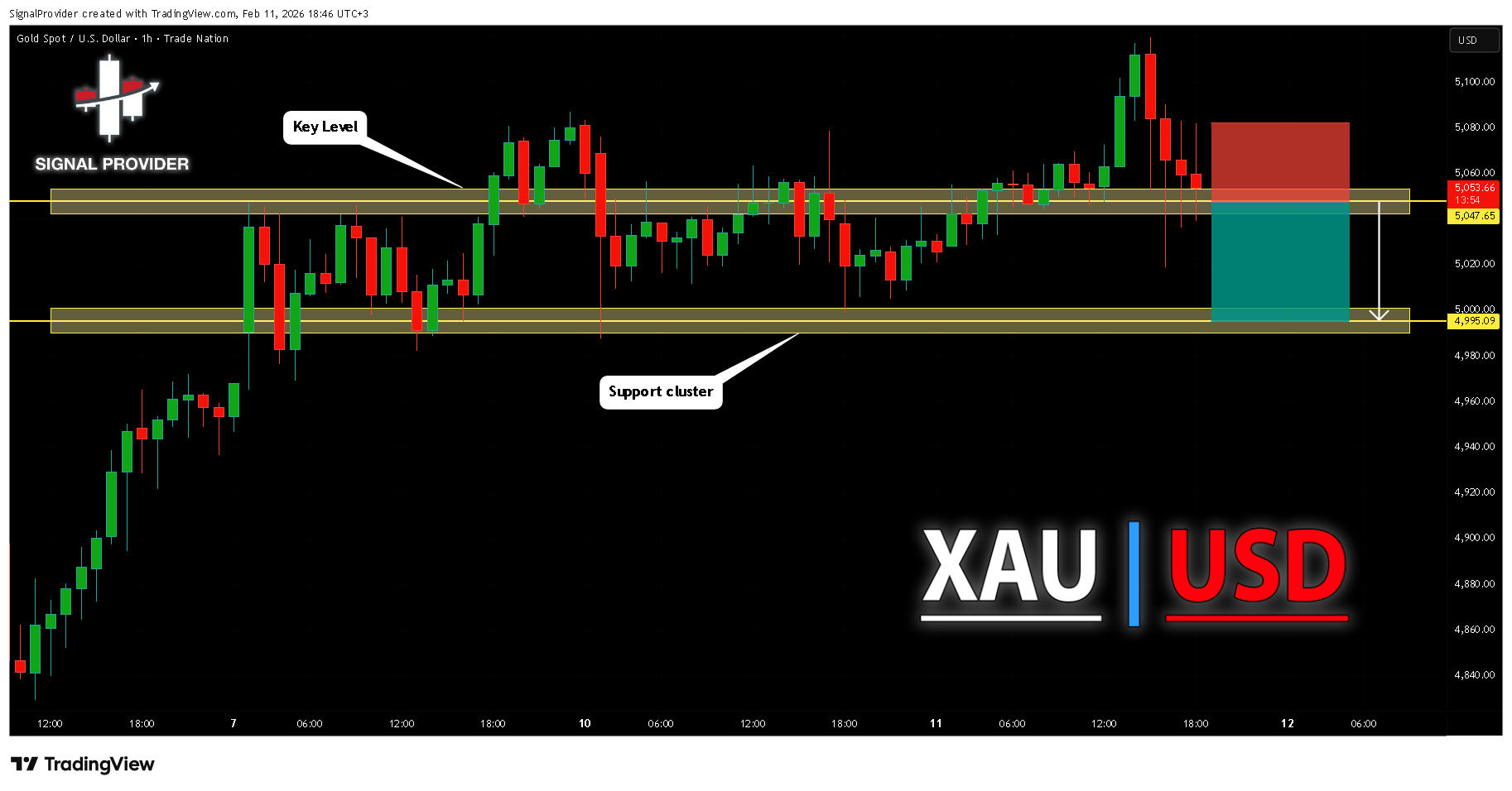 TRADENATION:XAUUSD Imagen del gráfico de SignalProvider