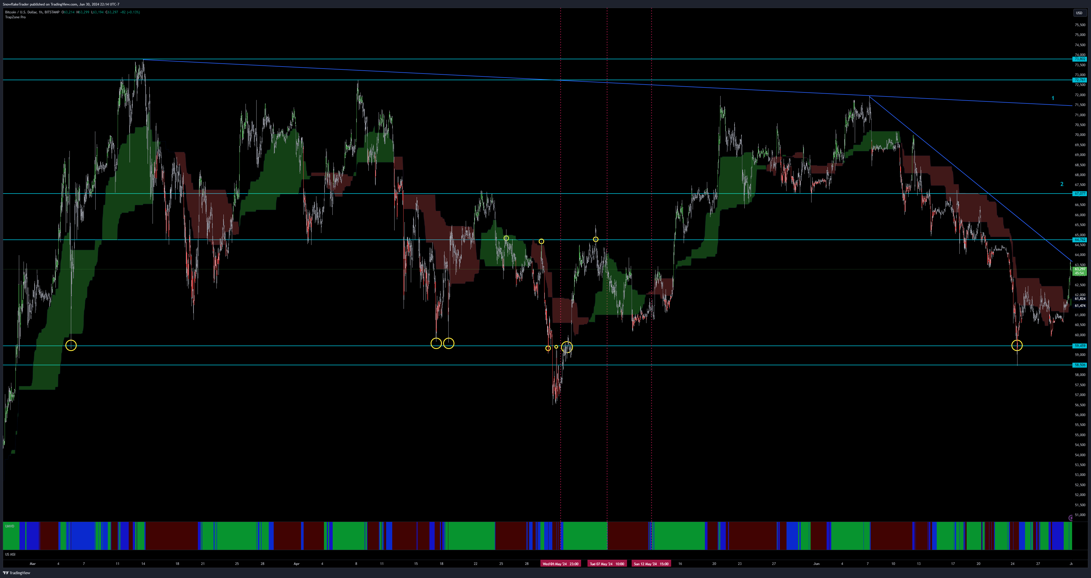 BITSTAMP:BTCUSD Chartbild von SnowflakeTrader