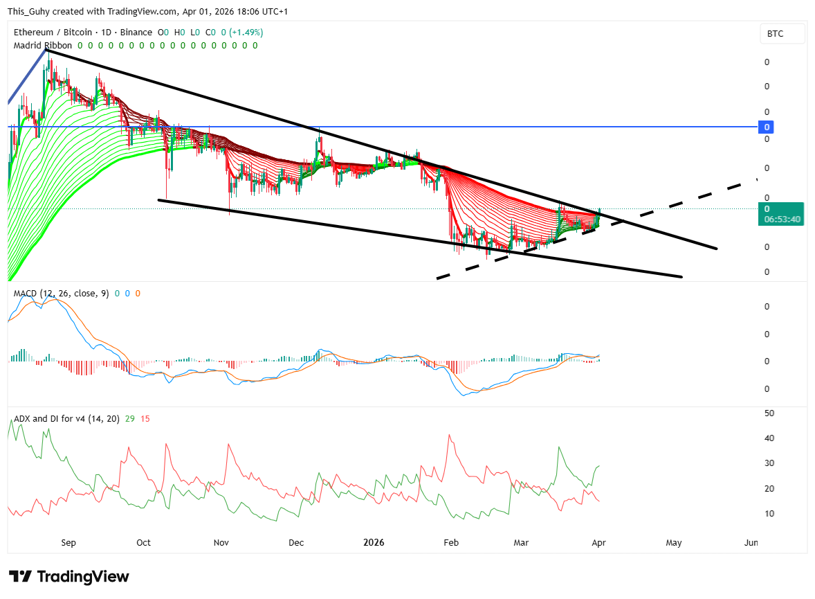BINANCE:ETHBTC 图表图片 由 This_Guhy 提供
