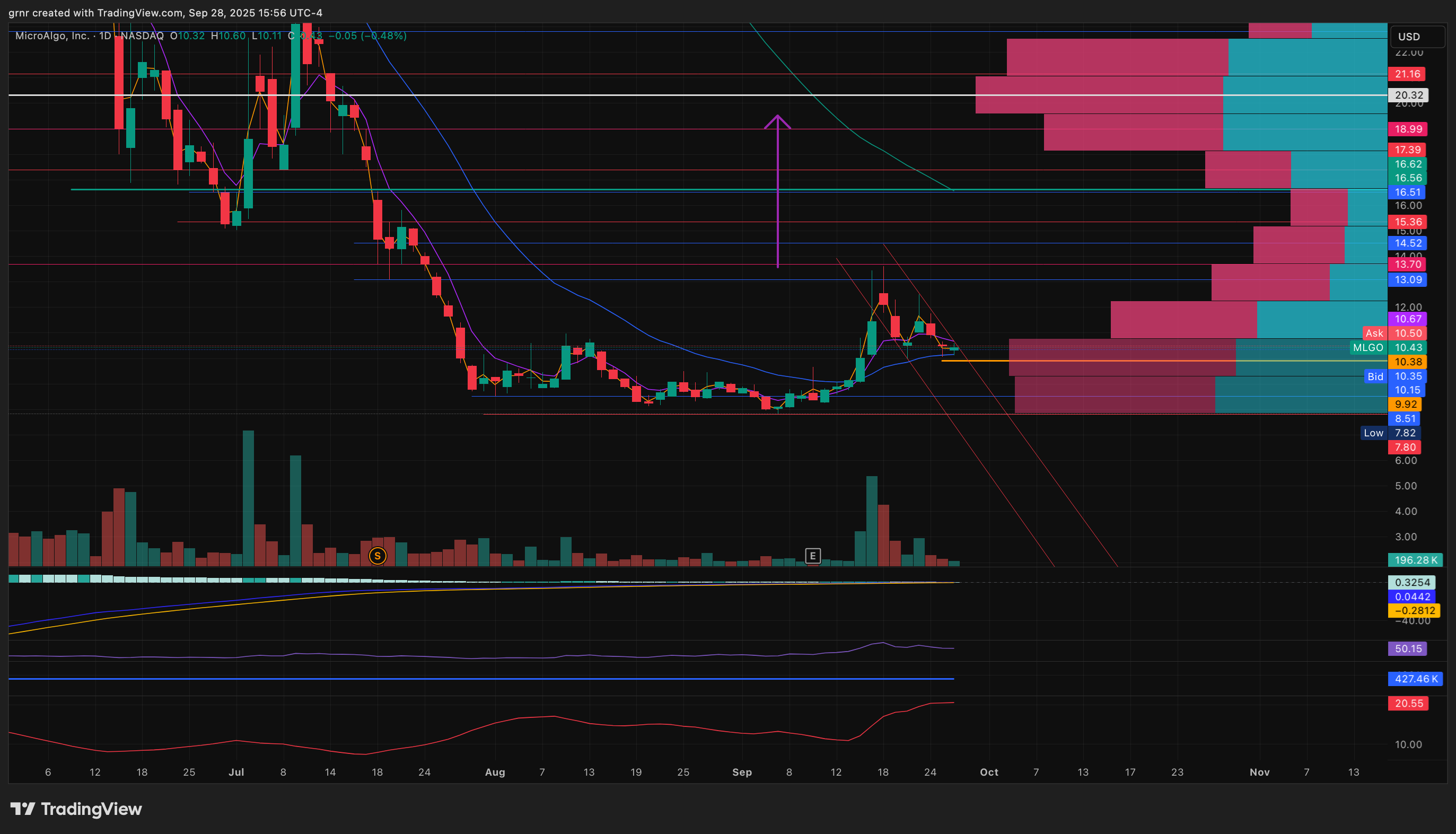 NASDAQ:MLGO Chart Image by grnr