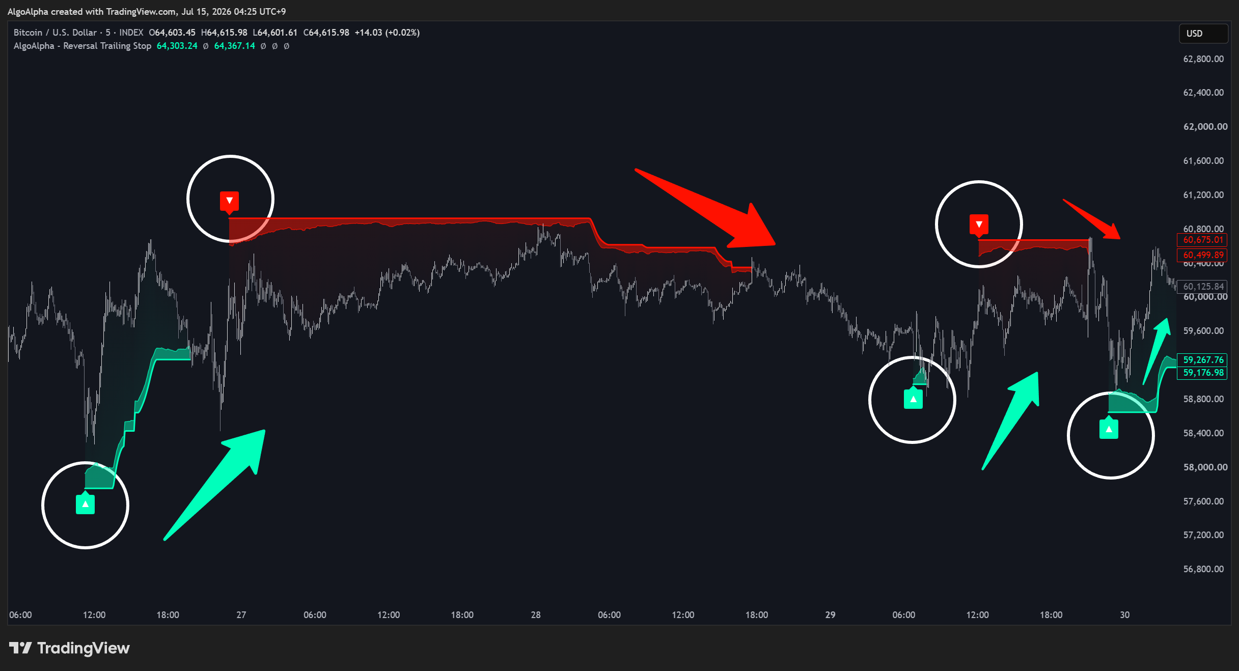 INDEX:BTCUSD Chart Image by AlgoAlpha