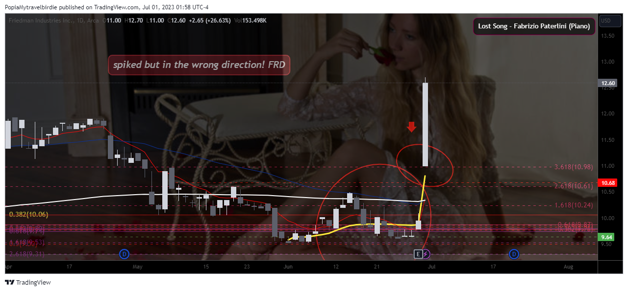 AMEX:FRD Chart Image by PopiaMytravelbirdie