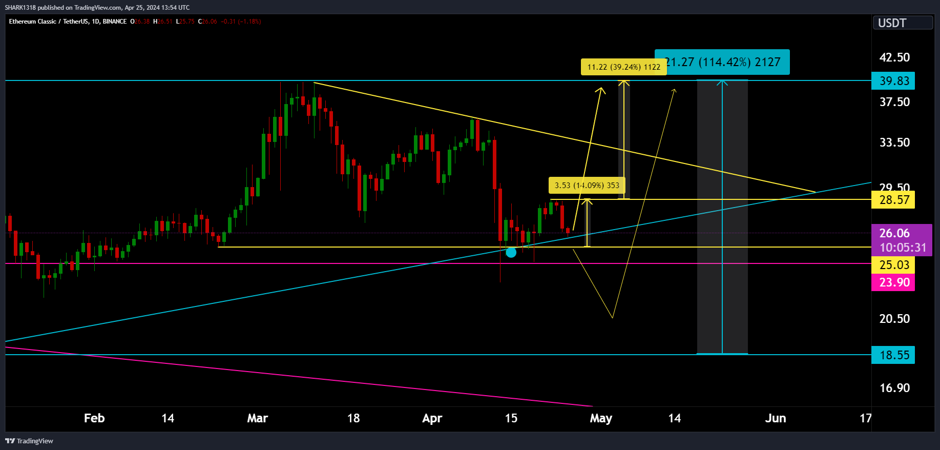 BINANCE:ETCUSDT 차트 이미지 - SHARK1318 제공