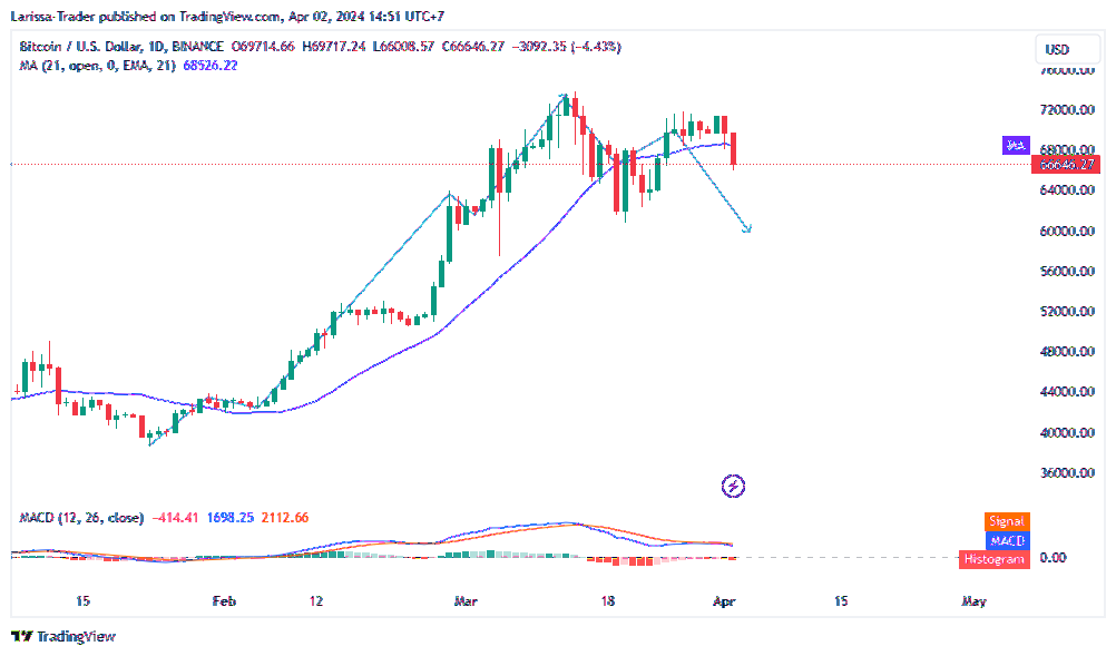 BINANCE:BTCUSD Chart Image by Larissa-Trader
