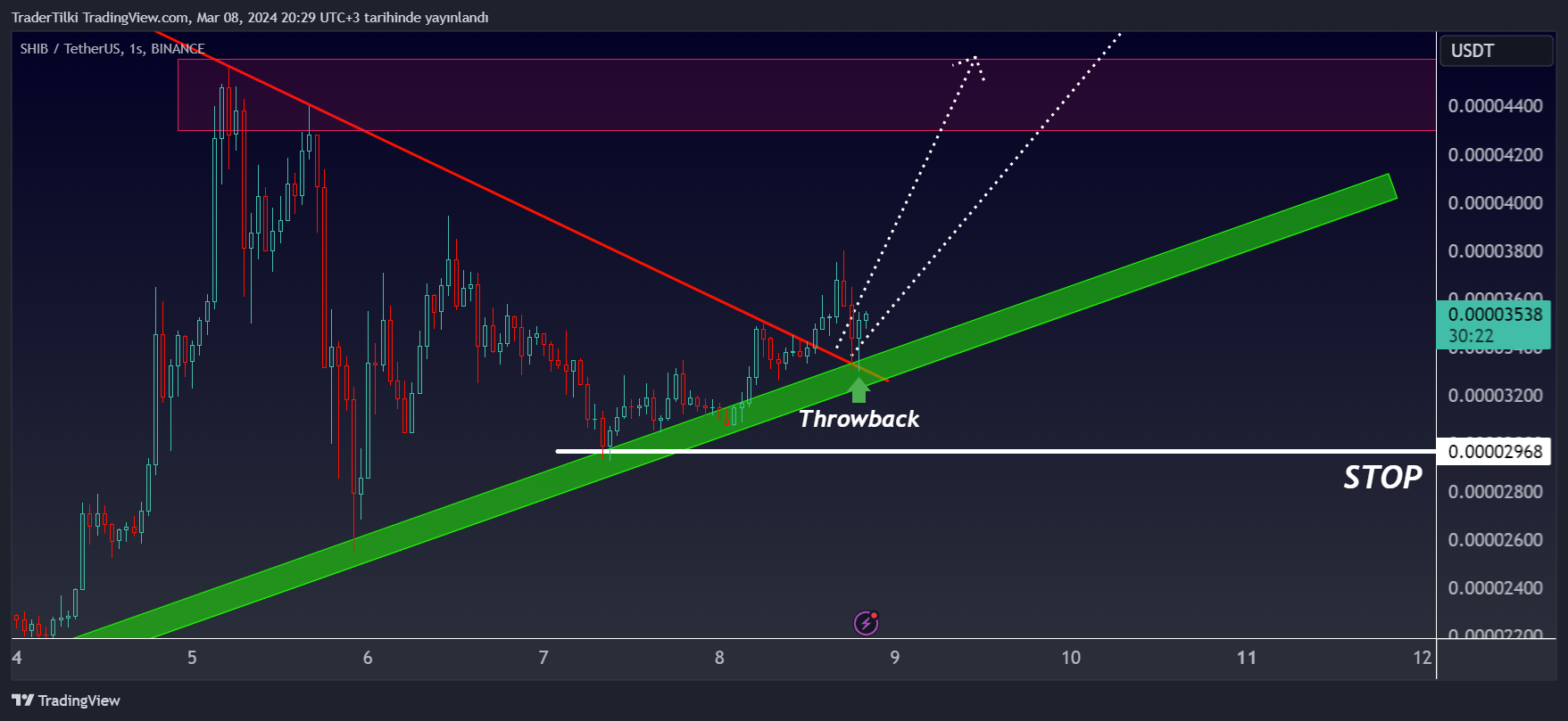 BINANCE:SHIBUSDT Chart Image by TraderTilki