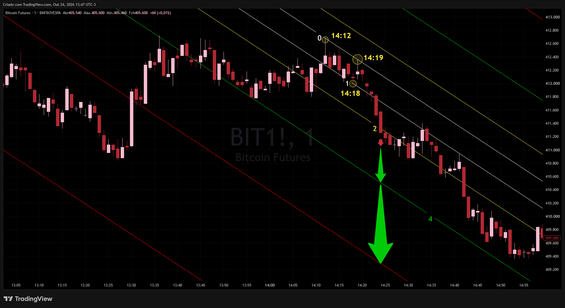 BMFBOVESPA_DLY:BIT1! Chart Image by Realizador