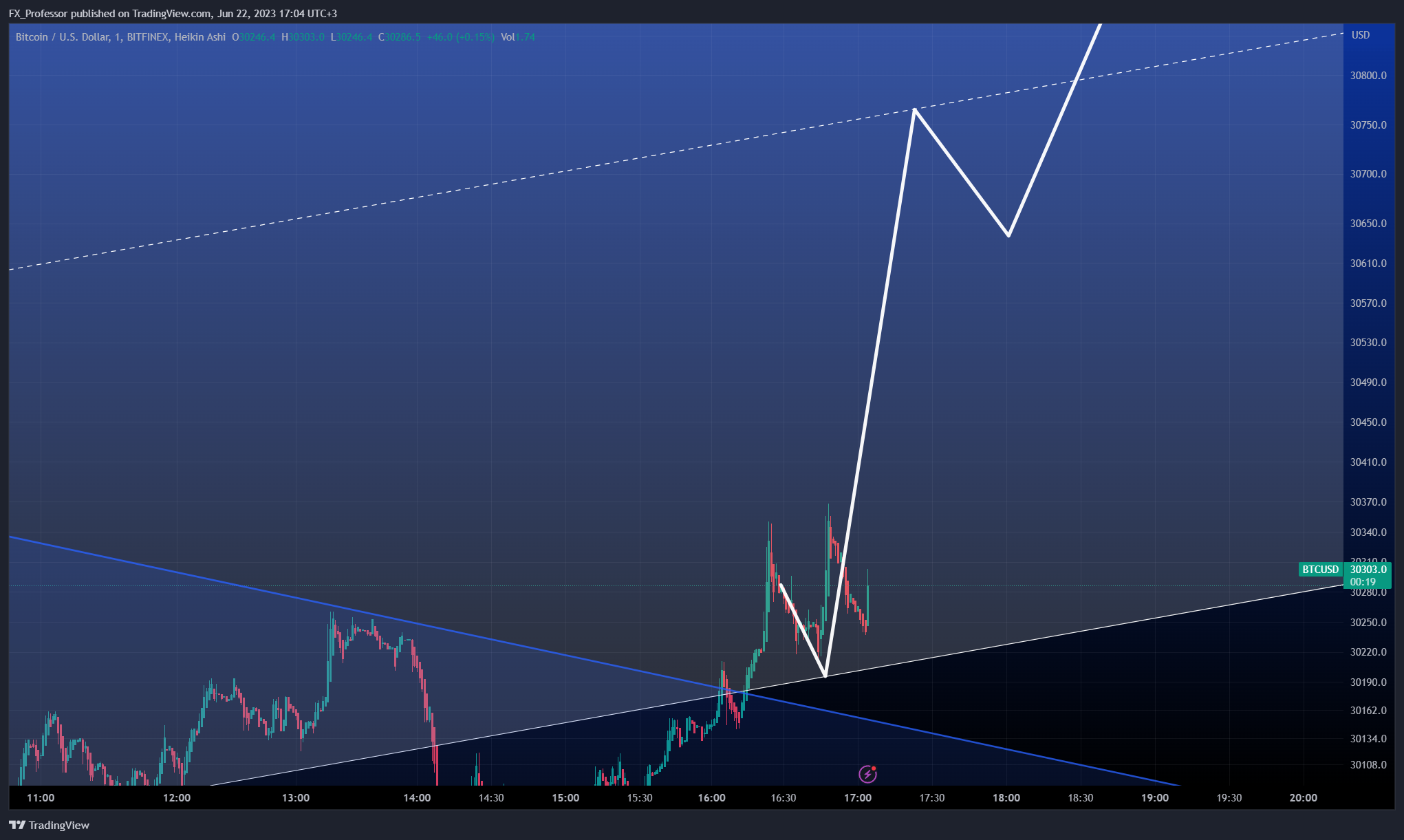 BITFINEX:BTCUSD 차트 이미지 - FX_Professor 제공