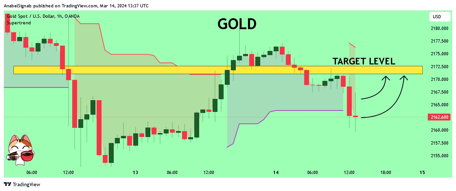 OANDA:XAUUSD Chartbild von AnabelSignals