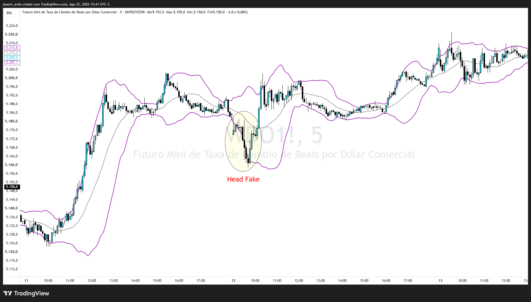 BMFBOVESPA_DLY:WDO1! Chart Image by joaovi_avila