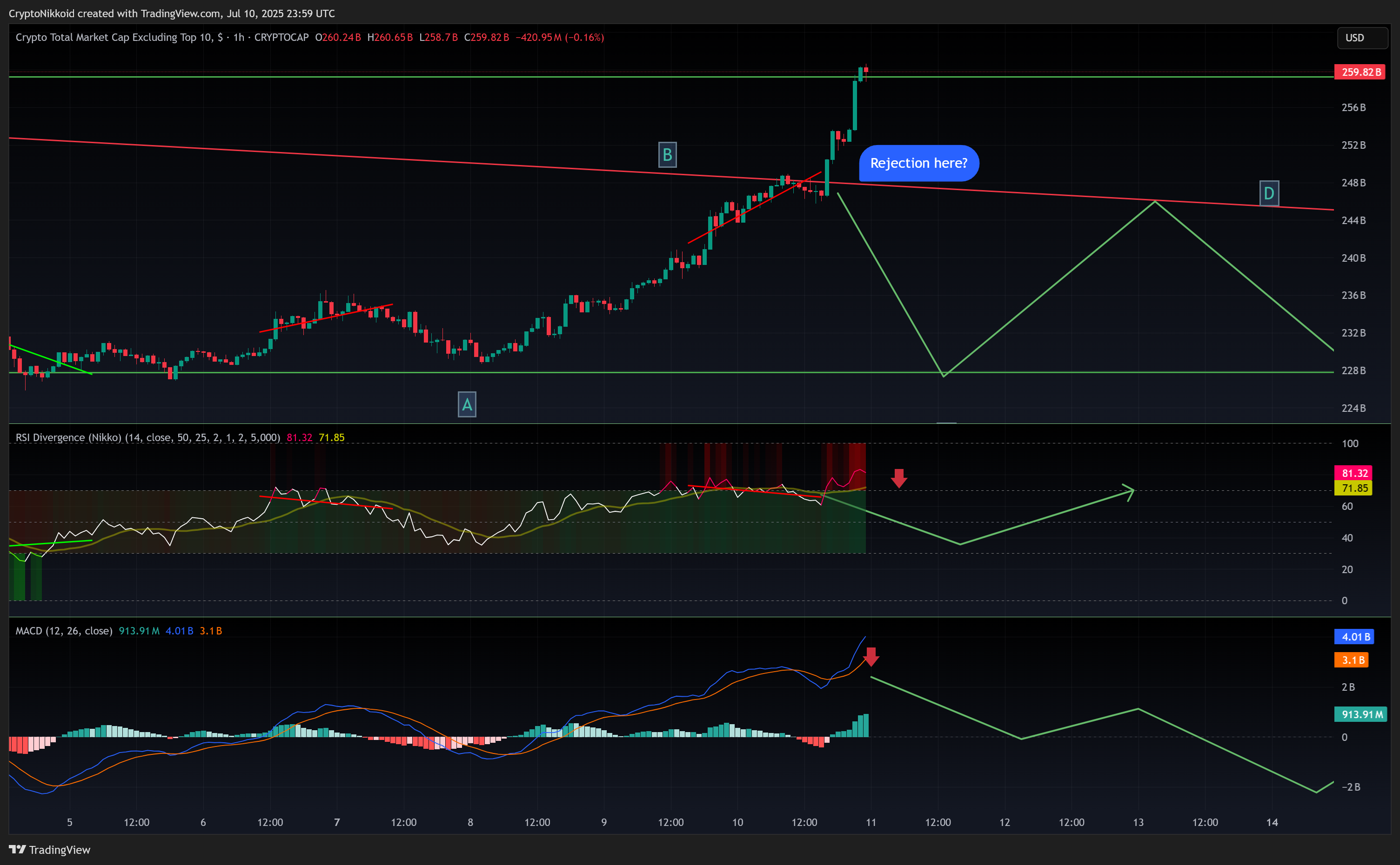 Снимок графика «CRYPTOCAP:OTHERS» от CryptoNikkoid