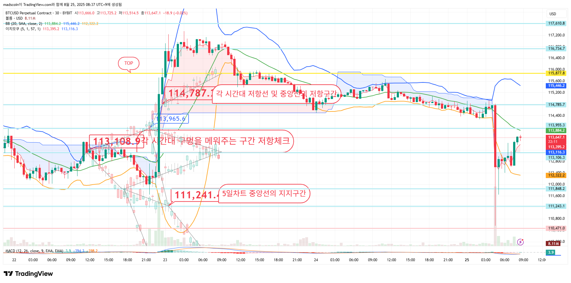 BYBIT:BTCUSD.P Chart Image by madscoin