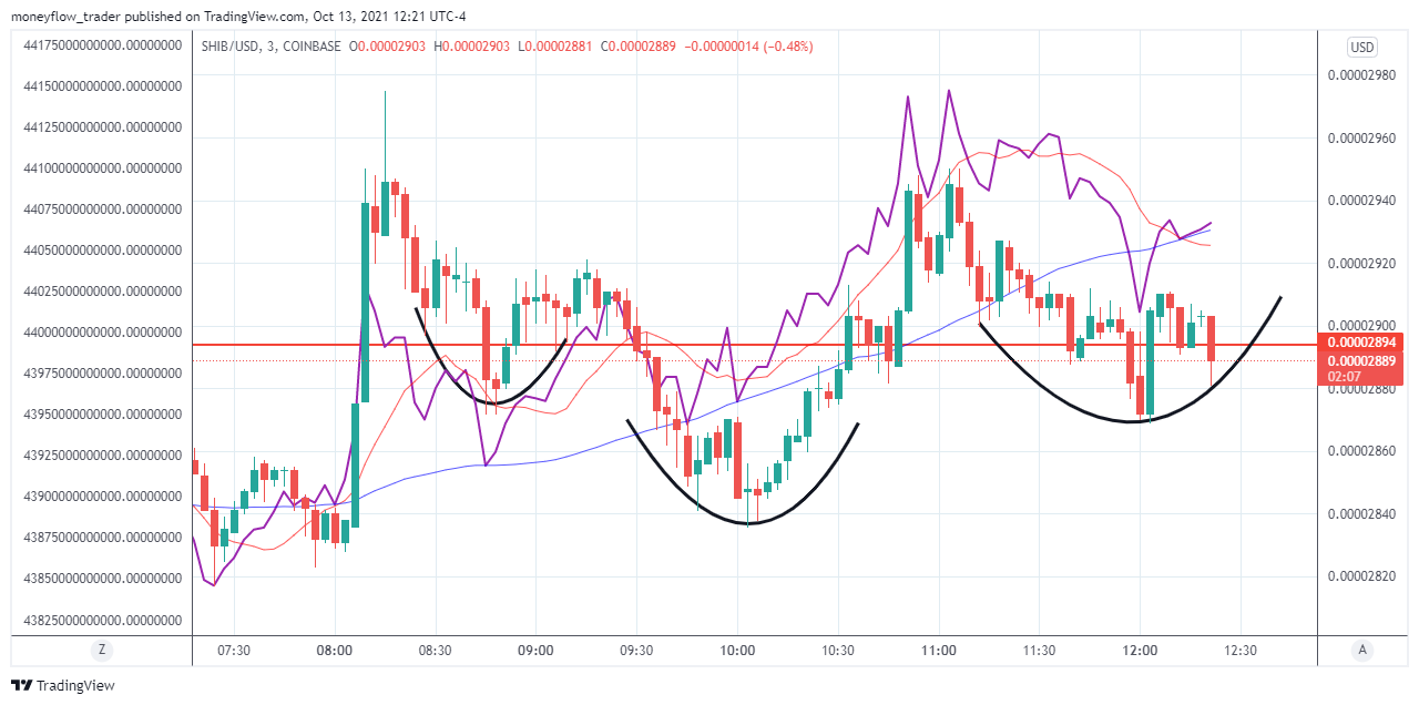 COINBASE:SHIBUSD Image du graphique par moneyflow_trader