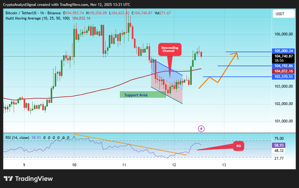 BINANCE:BTCUSDT Obraz wykresu od CryptoAnalystSignal