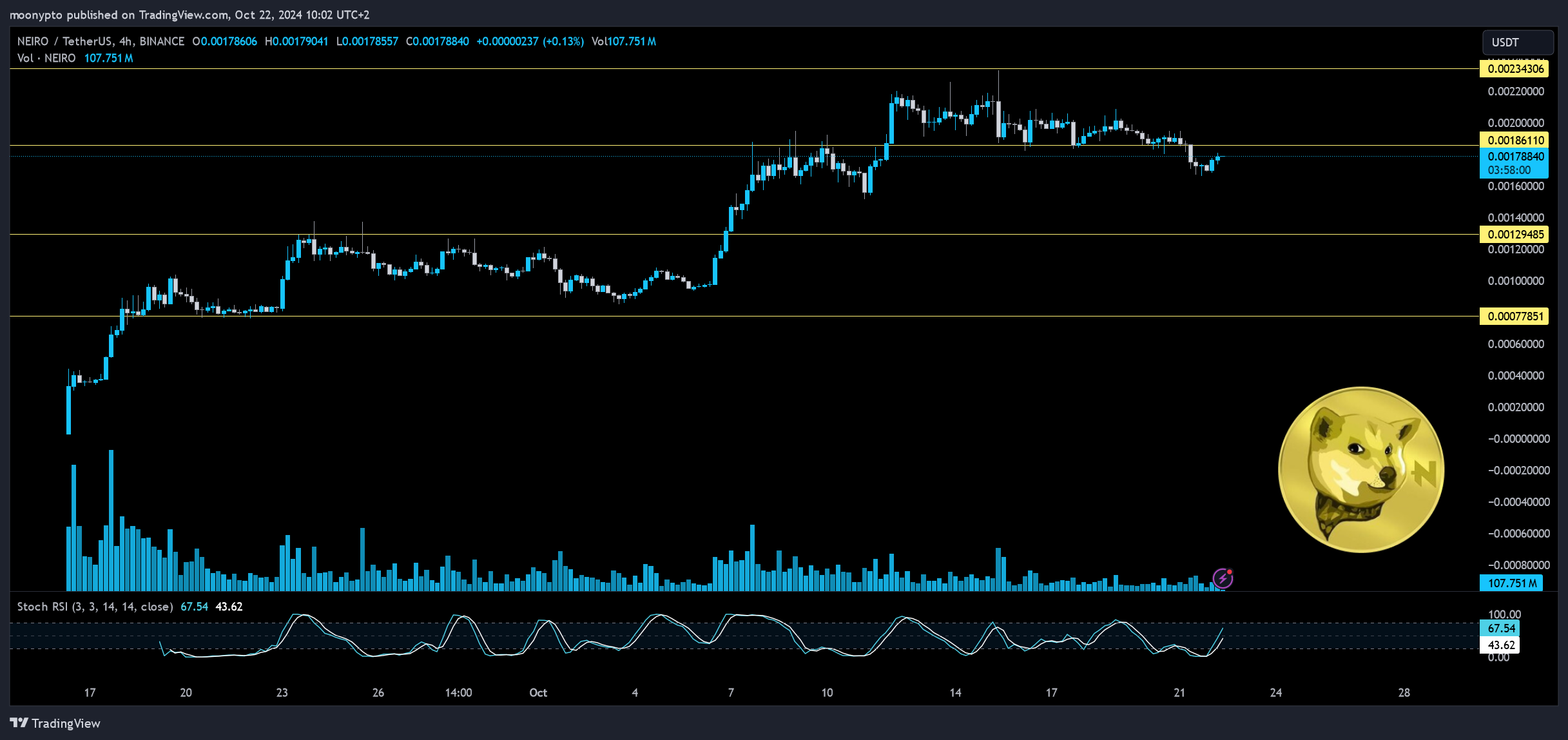 BINANCE:NEIROUSDT Chart Image by moonypto