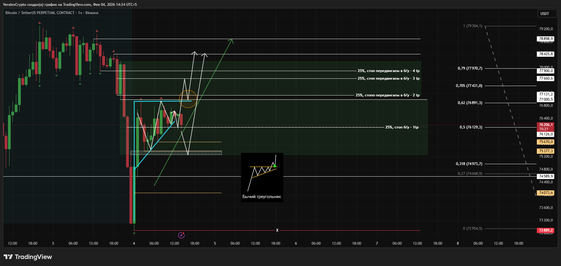BINANCE:BTCUSDT.P Chart Image by VeralexCrypto