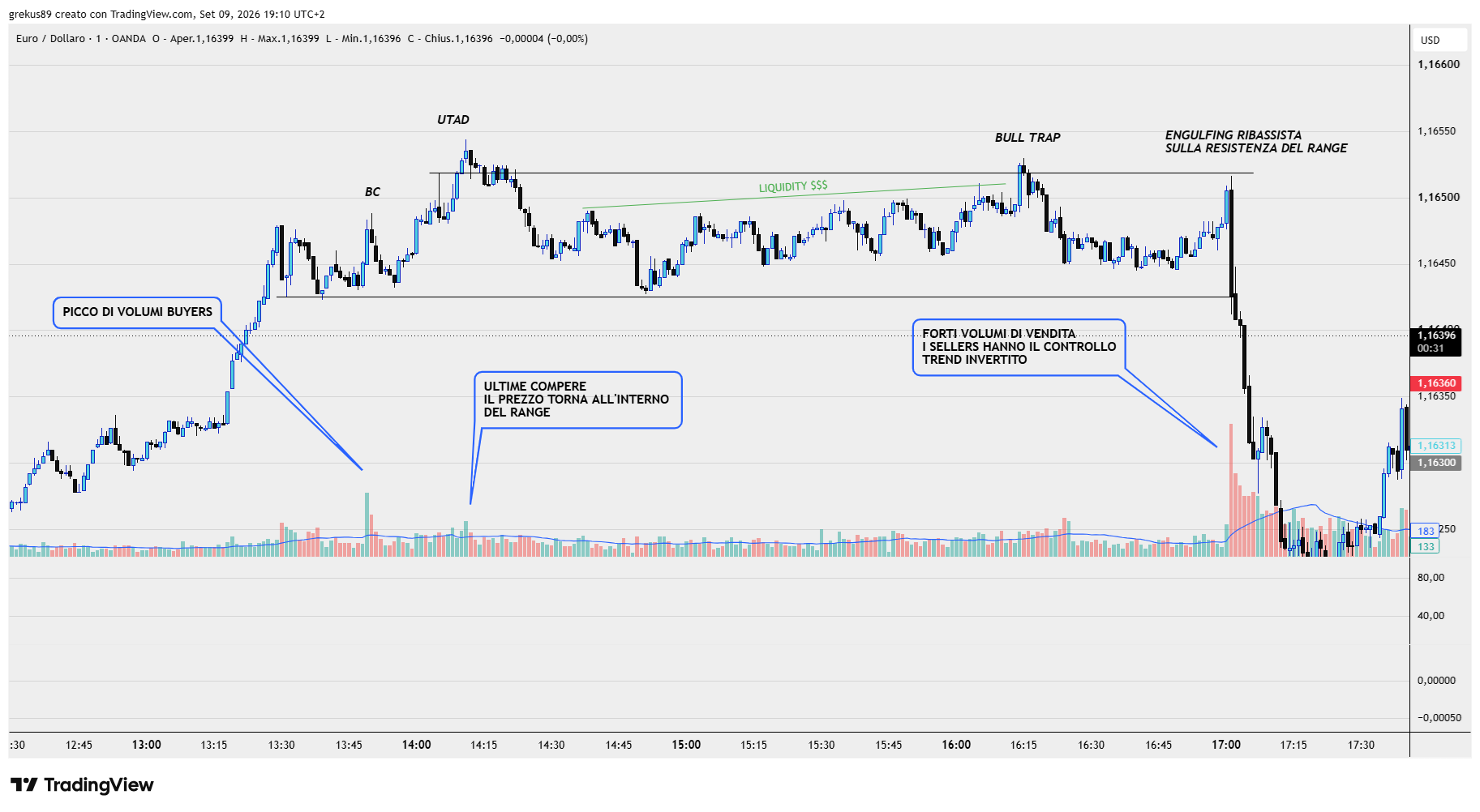 OANDA:EURUSD Chart Image by grekus89