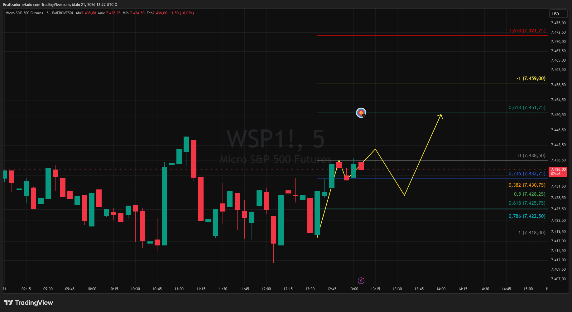 BMFBOVESPA_DLY:WSP1! Chart Image by Realizador