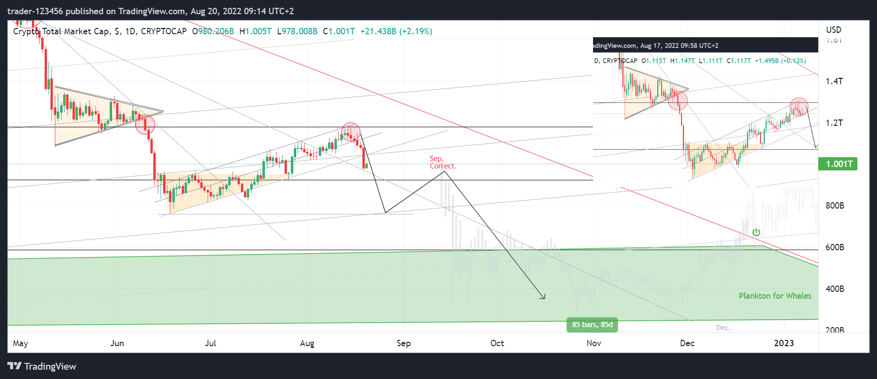 CRYPTOCAP:TOTAL ‏תמונת גרף מאת trader-123456