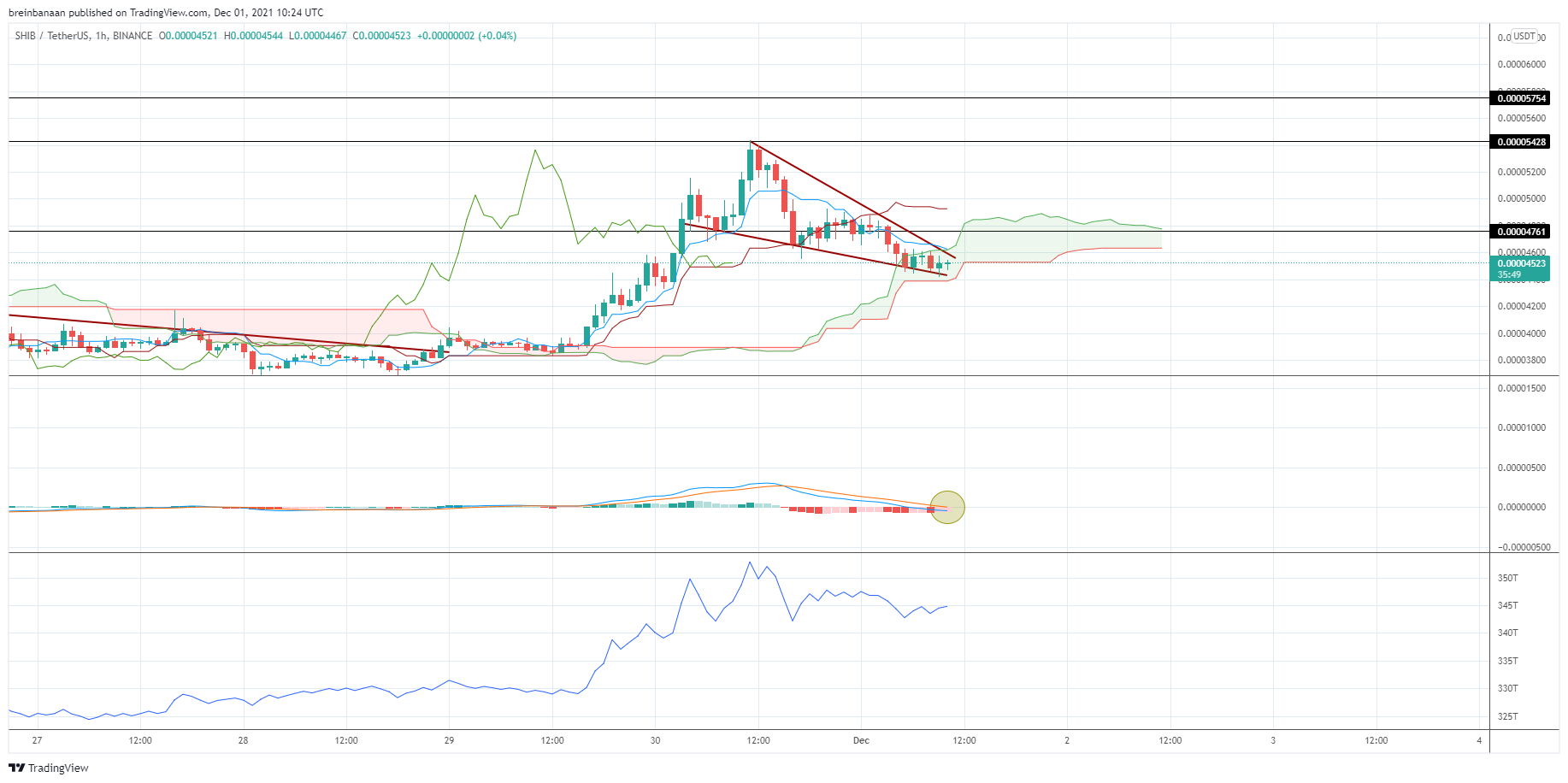 BINANCE:SHIBUSDT 차트 이미지 - breinbanaan 제공