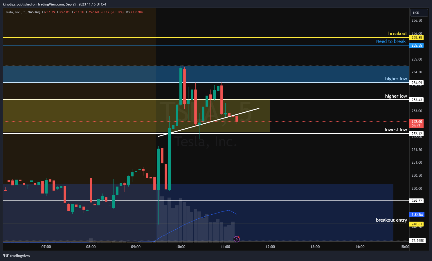 NASDAQ:TSLA Ảnh biểu đồ của kingdips