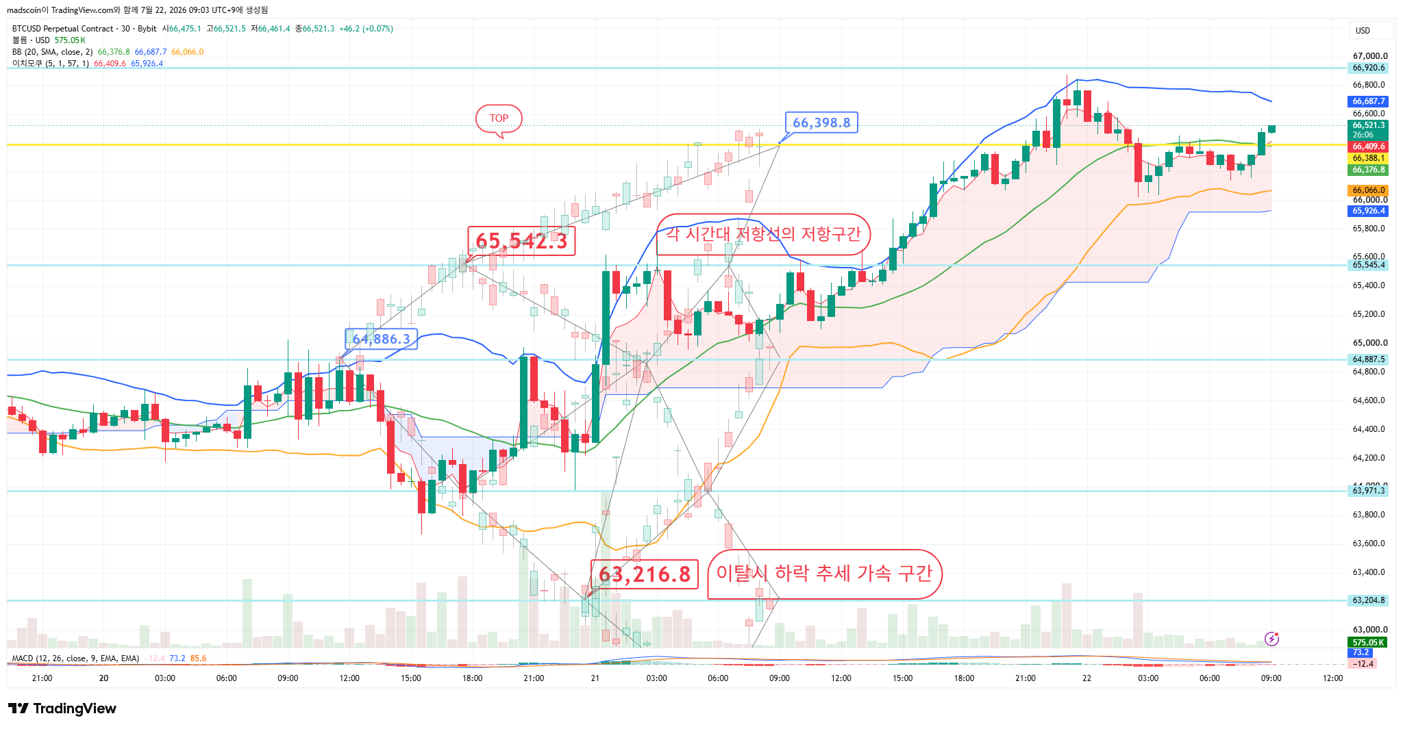 BYBIT:BTCUSD.P Chart Image by madscoin