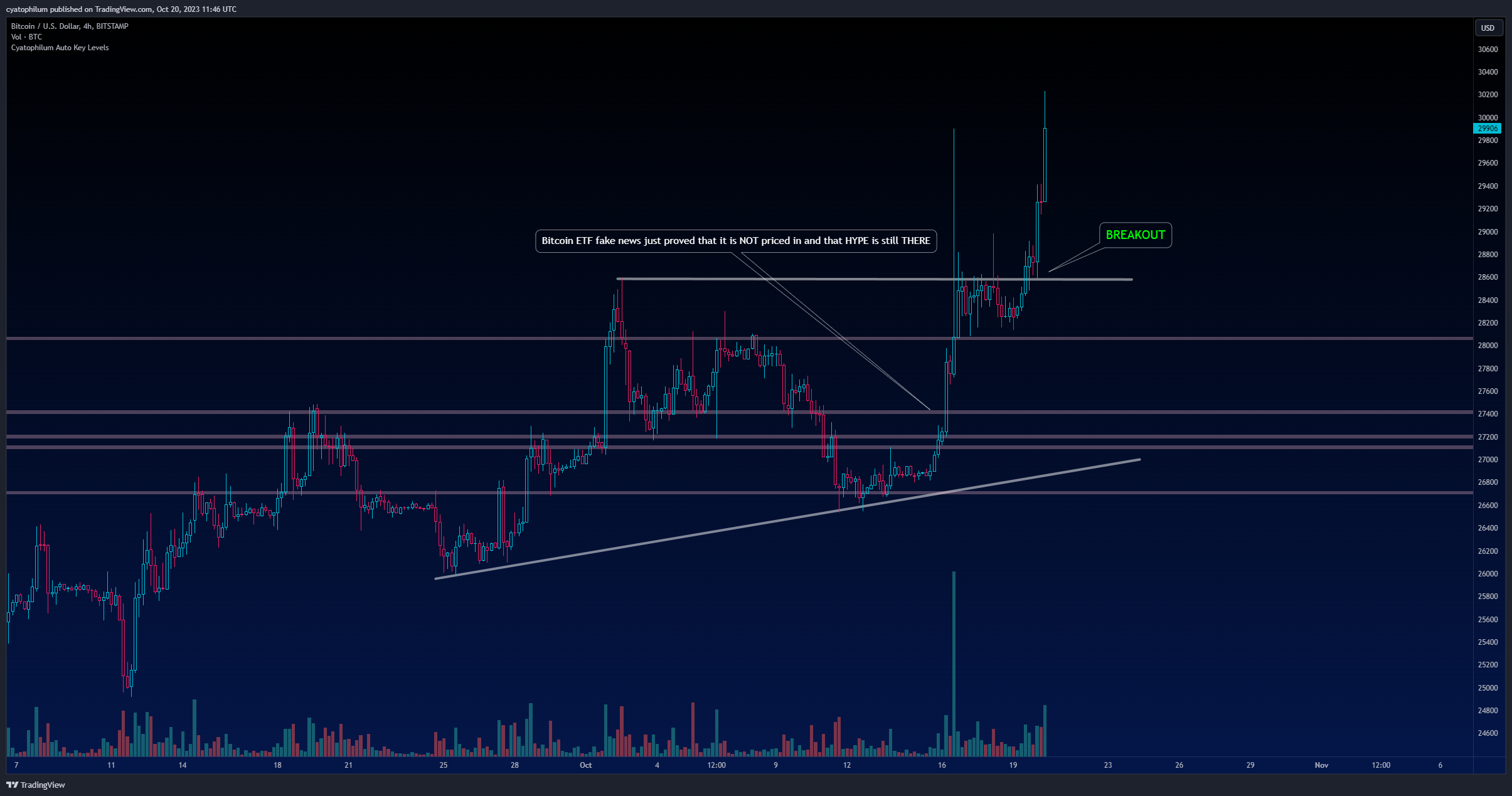 BITSTAMP:BTCUSD Chartbild von cyatophilum