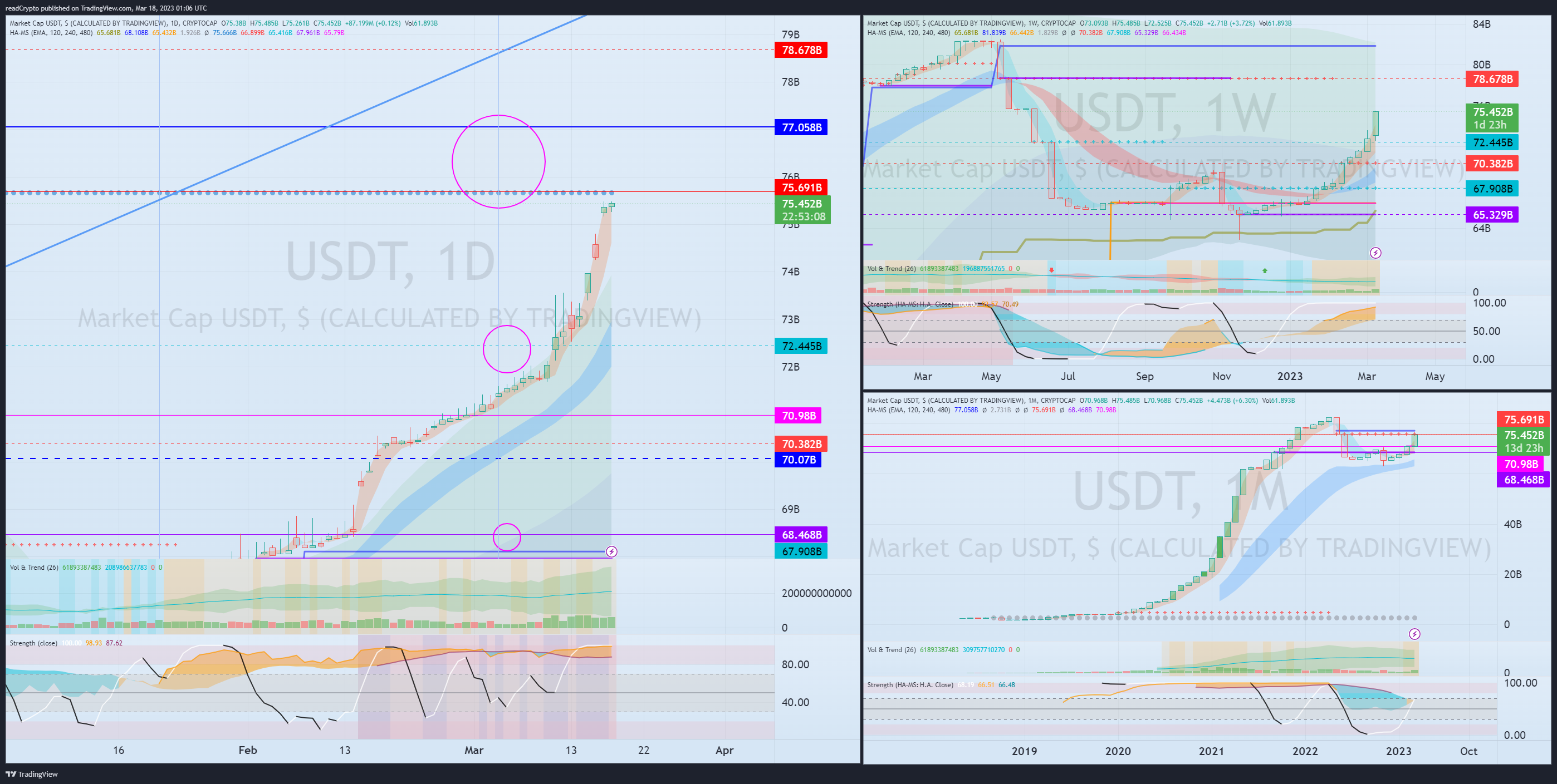 CRYPTOCAP:USDT Chart Image by readCrypto
