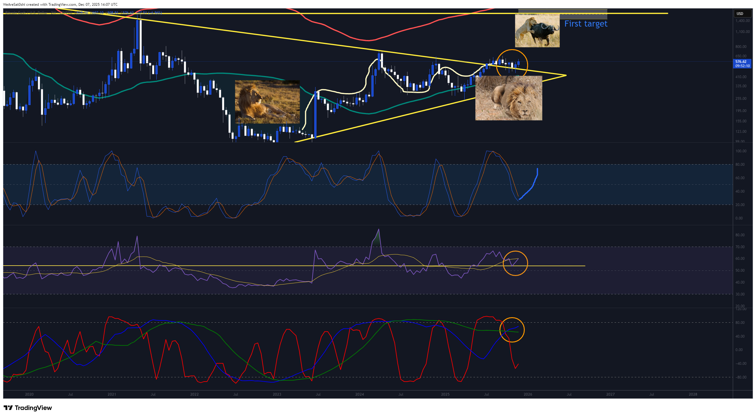 CRYPTO:BCHUSD Chart Image by WeAreSat0shi