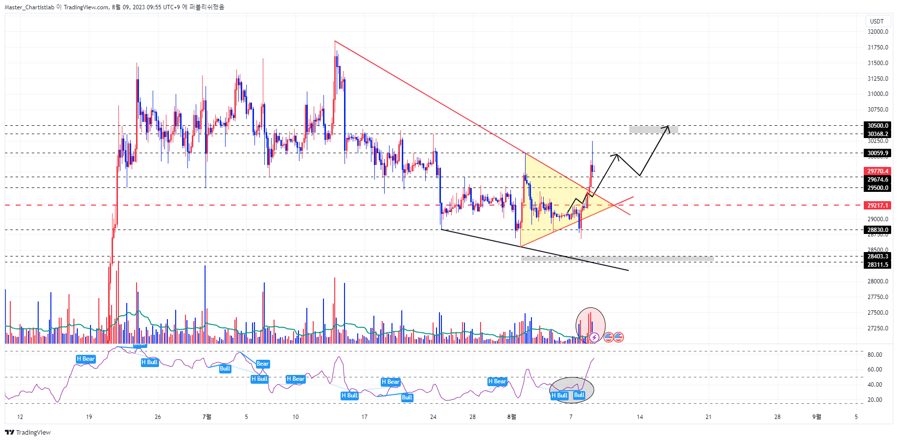 BINANCE:BTCUSDT.P Image du graphique par Master_Chartistlab