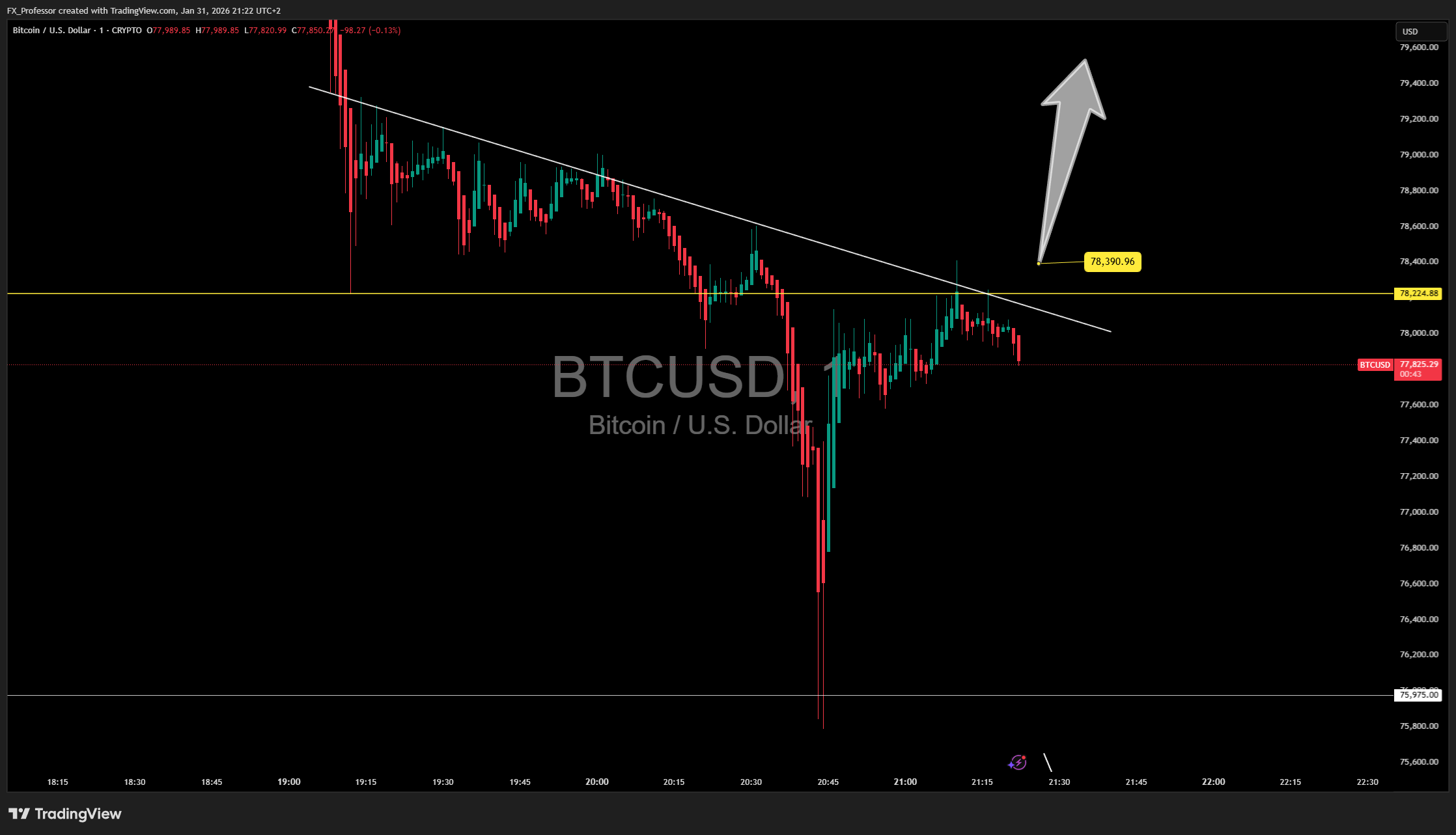 CRYPTO:BTCUSD Chart Image by FX_Professor