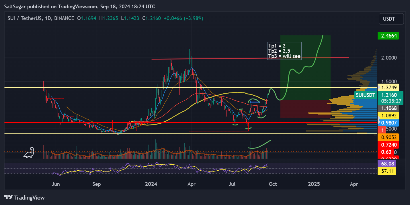 BINANCE:SUIUSDT Chart Image by SaltSugar