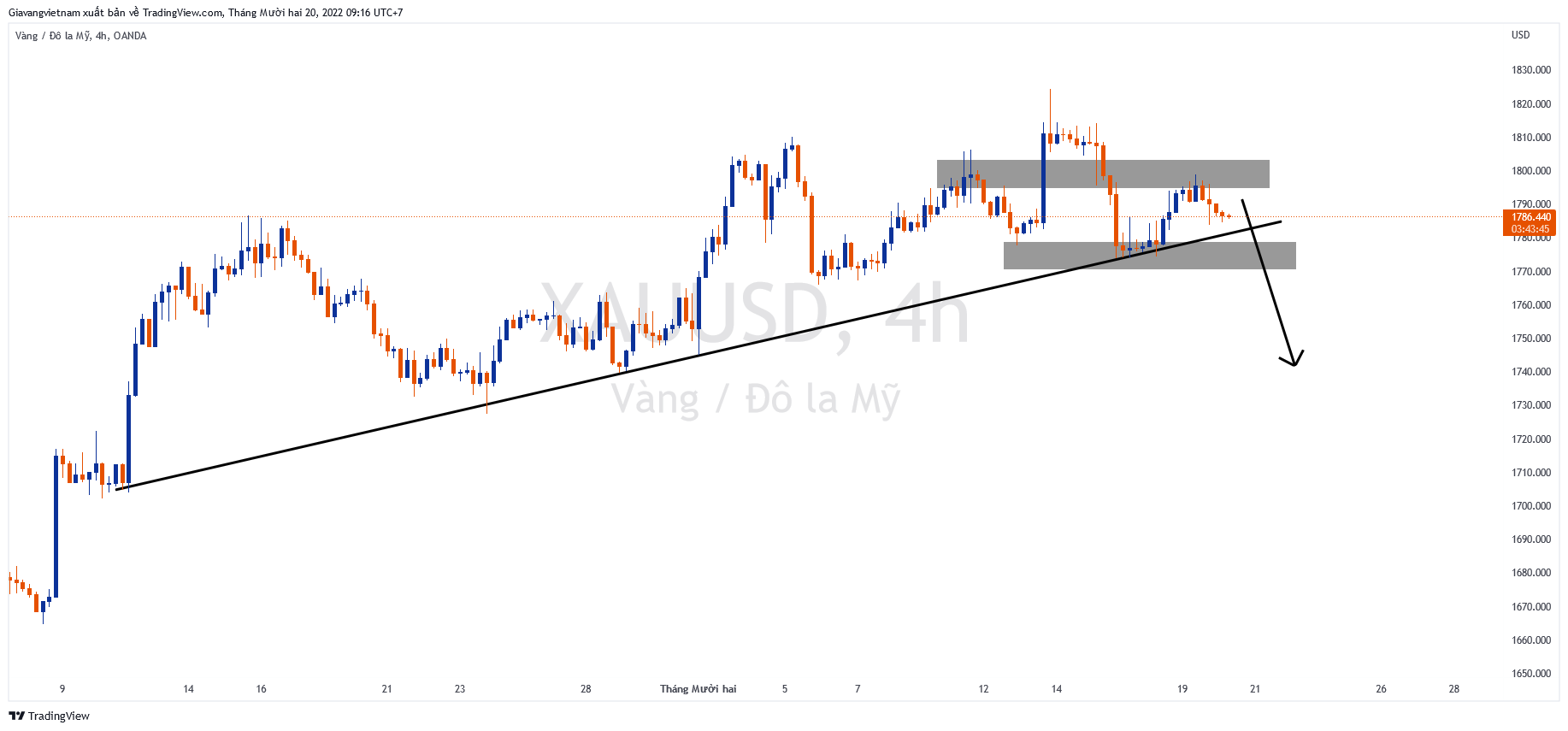OANDA:XAUUSD Chart Image by Giavangvietnam