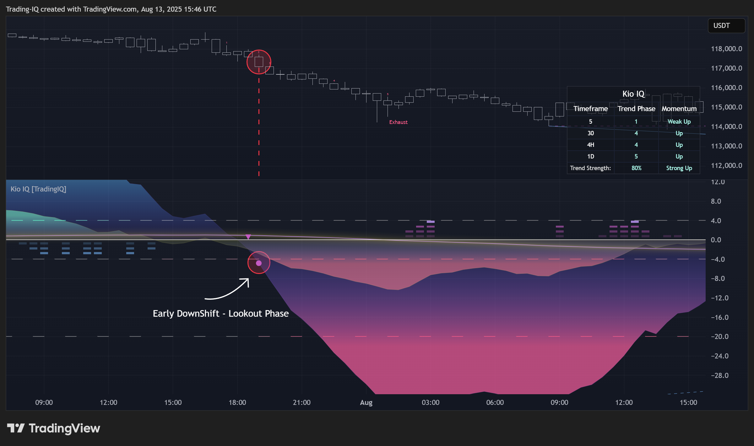 BINANCE:BTCUSDT.P Chart Image by Trading-IQ