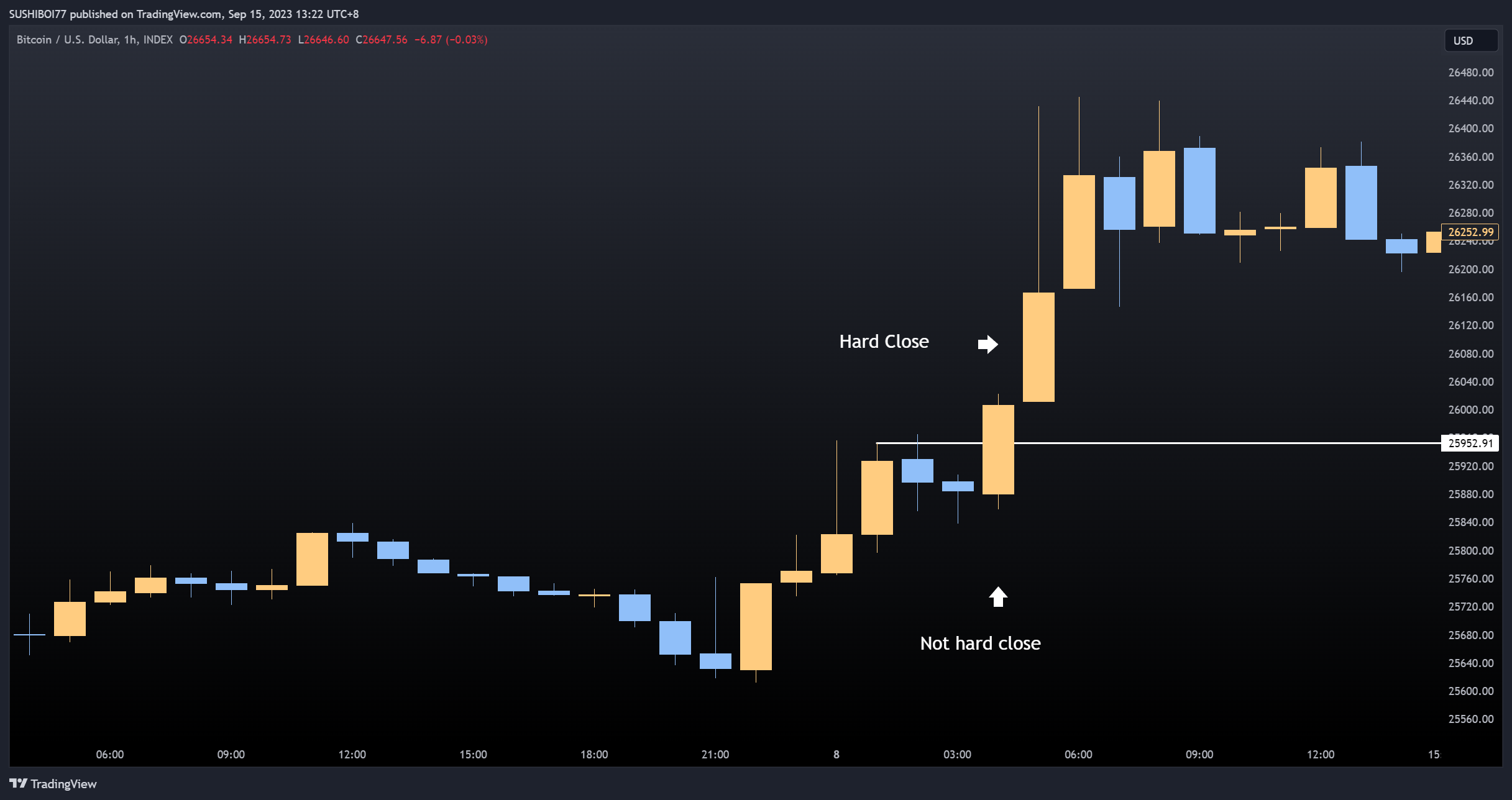 INDEX:BTCUSD Chart Image by SUSHIBOI77