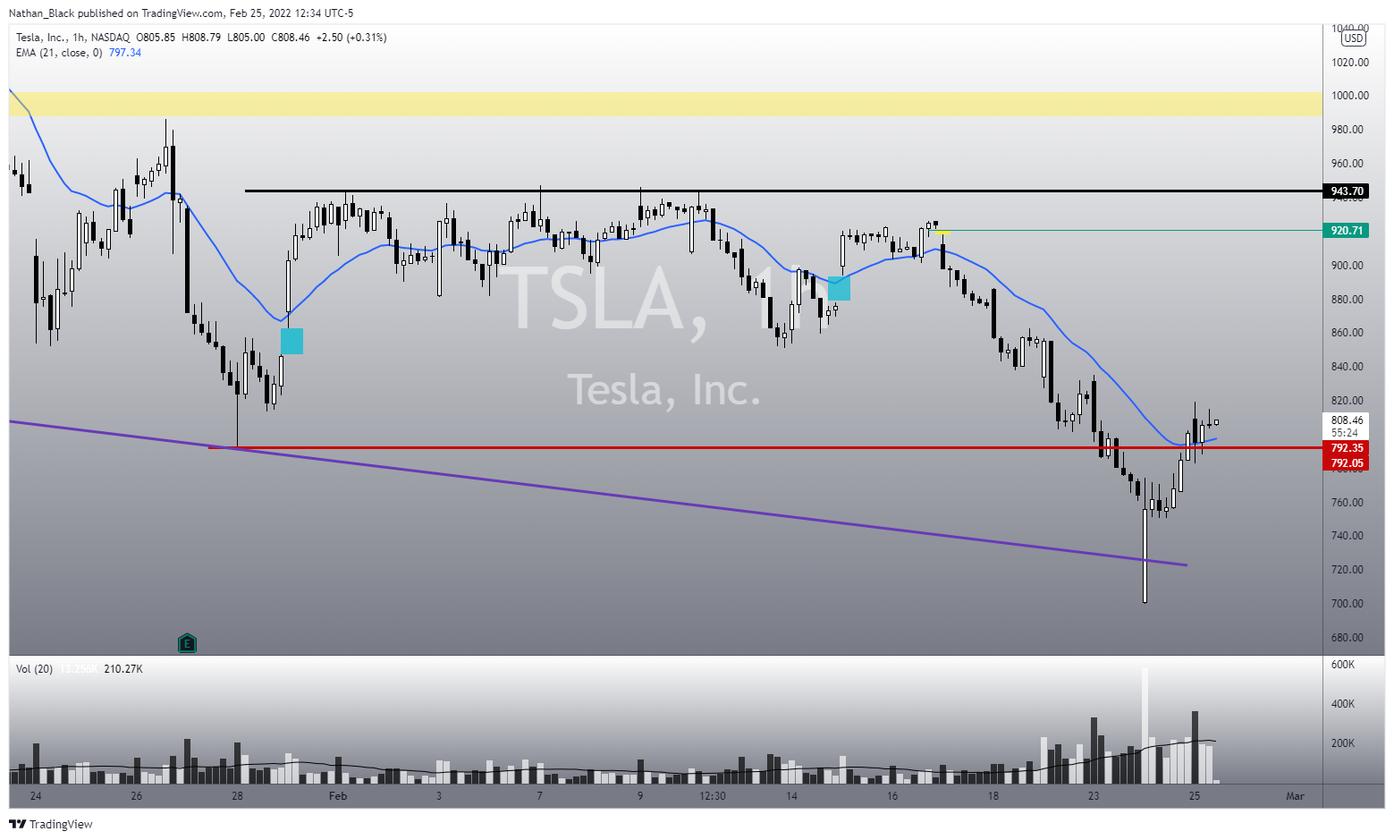 NASDAQ:TSLA Chart Image by Nathan_The_Finance_Hydra