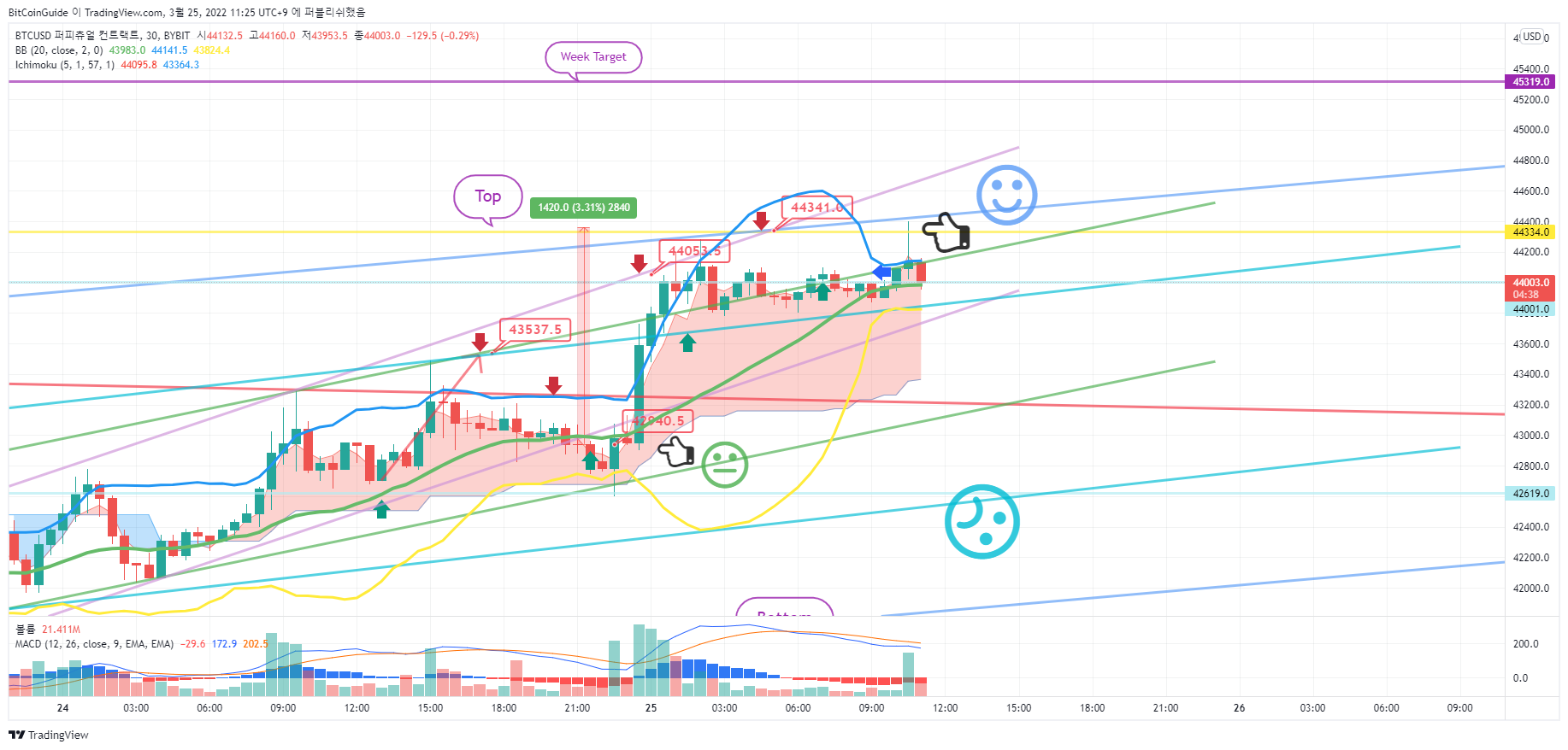 BYBIT:BTCUSD Chartbild von BitCoinGuide