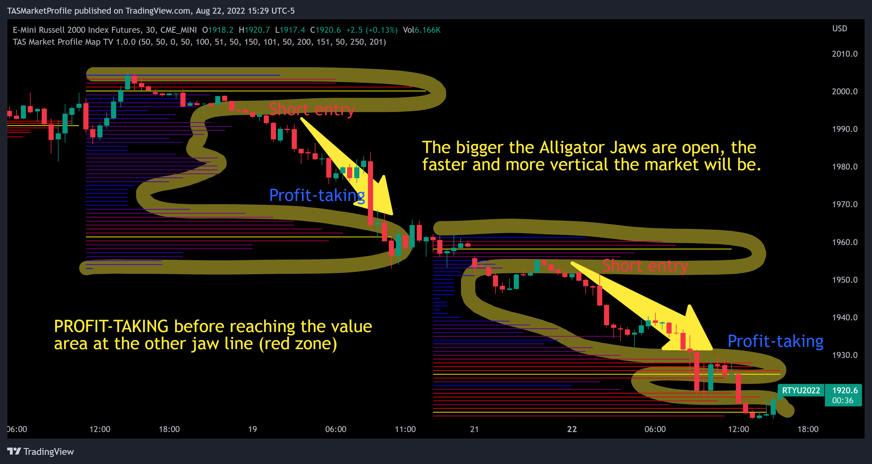 CME_MINI:RTY1! Chart Image by TASMarketProfile