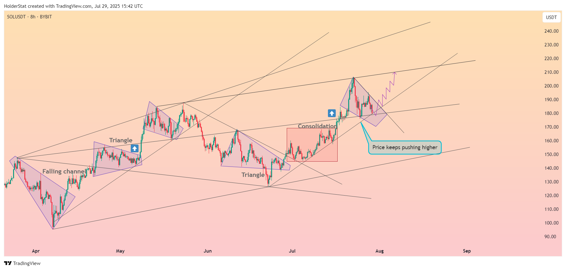 BYBIT:SOLUSDT Imagen del gráfico de HolderStat