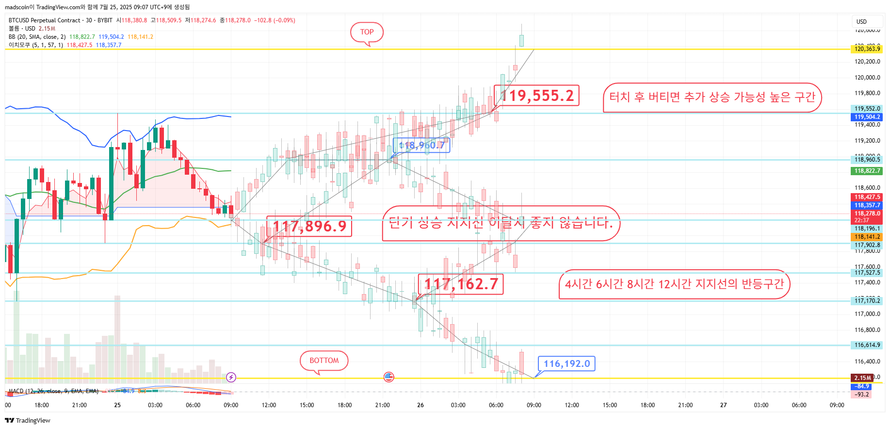Снимок графика «BYBIT:BTCUSD.P» от madscoin