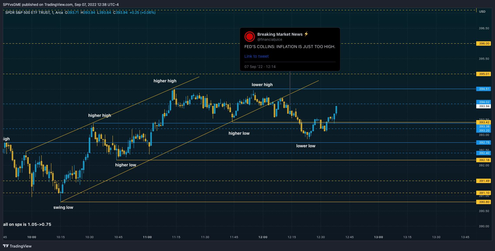 AMEX:SPY Chart Image by SPYvsGME